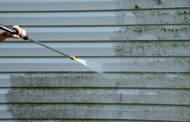 Professional Pressure Washing in Ridgeway, VA